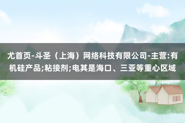 尤首页-斗圣(上海)网络科技有限公司-主营:有机硅产品;粘接剂;电其是海口、三亚等重心区域